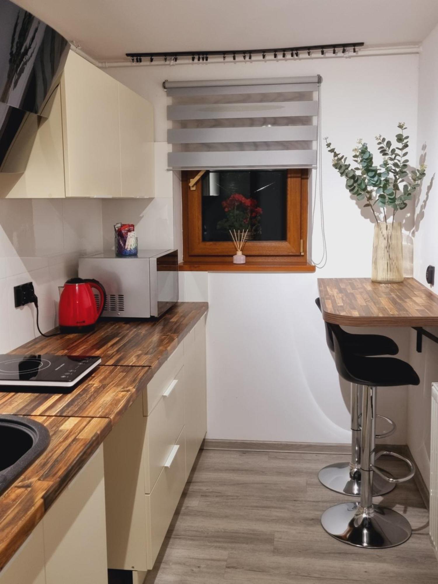 Paula Apartment Jelenia Gora